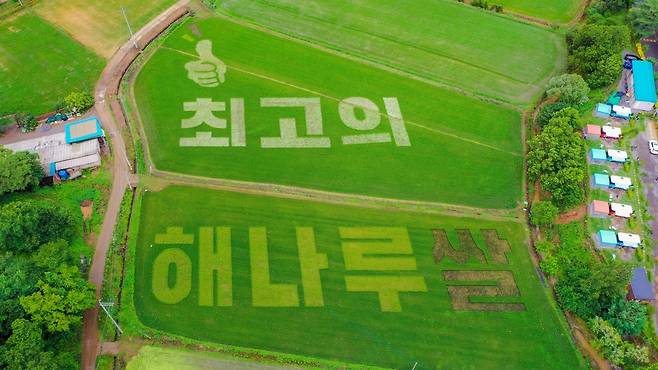 '최고의 해나루쌀' 논 그림 당진시 농업기술센터 제공. 재판매 및 DB 금지]