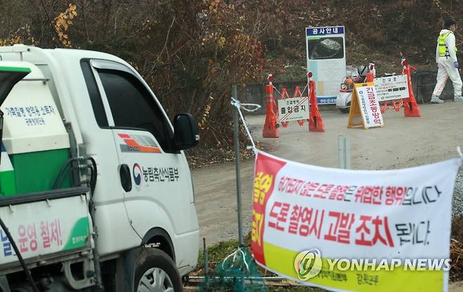 고병원성 AI 확진 판정된 원주 산란계 농장 (원주=연합뉴스) 이재현 기자 = 16일 고병원성 조류인플루엔자(AI) 확진 판정된 강원 원주시의 한 산란계 농장에서 이틀째 살처분 작업이 이어지고 있다. 이 농장에서는 고병원성 AI 의심 환축이 발생한 지난 15일부터 사육 중인 닭 6만여 마리에 대한 예방적 살처분 작업이 진행됐다. 2022.11.16 jlee@yna.co.kr