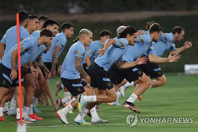 한국 첫 상대 우루과이 대표팀 훈련 (도하=연합뉴스) 김주성 기자 = 2022 카타르 월드컵 조별리그 1차전 상대인 우루과이 대표팀의 에딘손 카바니 등 선수들이 23일(현지시간) 카타르 도하의 알에르살 훈련장에서 공개훈련을 하고 있다. 2022.11.23 utzza@yna.co.kr