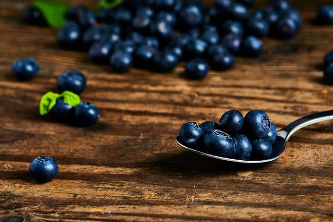 블루베리에는 항산화 물질이 풍부하다. [사진=게티이미지뱅크]