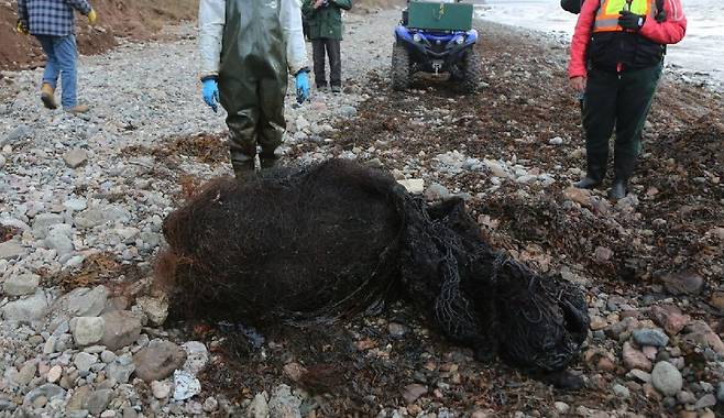 지난 3일 노바스코샤주 해변에서 발견된 향유고래 배 속에서 나온 쓰레기 중 일부. /해양동물대응협회(MARS) 페이스북