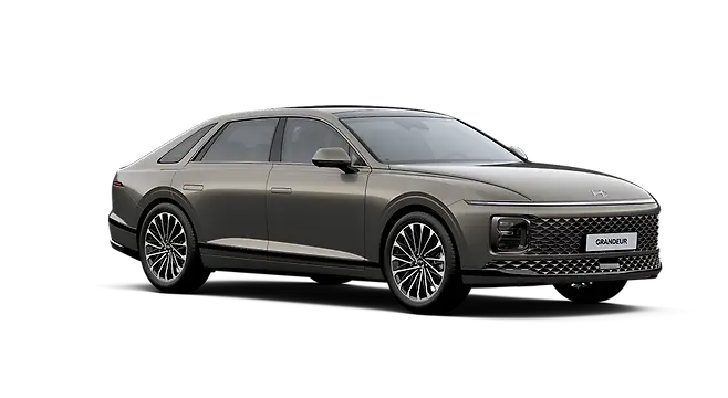 유기 브론즈 메탈릭 - 전면