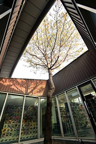 인삼포 형상을 한 납골시설 ‘무주 추모의 집’의 중정(中庭). 건물 한가운데 내부와 외부가 만나는 정원을 두고 나무를 심어서 ‘추모의 자리’ 한가운데에서 생명이 자라게 했다.