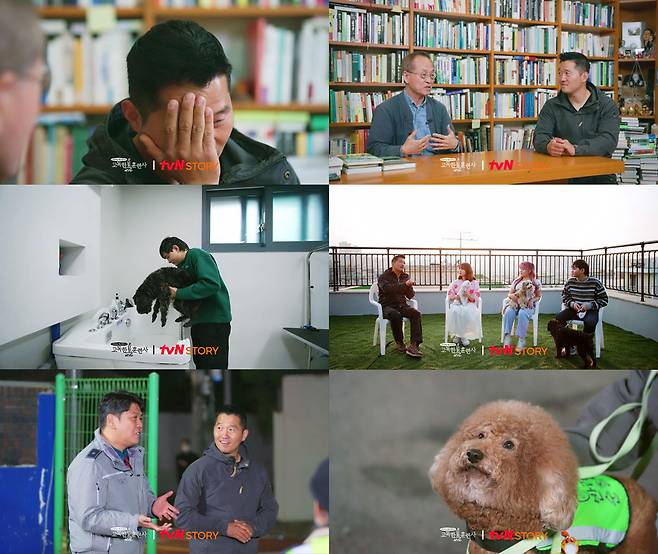 Kang Hyung-wook Confessions his heart to a professor he admires.TVN STORY broadcasted on November 24  ⁇  Lonely Trainer  ⁇  Episode 3 introduces the special Pet culture of Seoul Seodaemun-GU along with genuine Confessions, the real reason why Kang Hyung-wook trainer left to learn more.A lonely trainer is a documentary about the journey of Kang Hyung-wook who loves dogs so much that he left to meet all the dogs of the world.Top 1% Gatopia Jirisan After looking for Seoul Seodaemun-GU, we will look at the evolving culture of the city.The first place I visited was Ewha Womans University, where Professor Choi Jae-cheon is one of the most respected by Kang Hyung-wook trainer.Kang Hyung-wook, a professor at Ewha Womans Universitys Eco-Science Department and Professor Choi Jae-cheon, an animal conservation scholar, tells the story of Jirisan and Damyang through a lonely trainee.I have been in contact with European trainers who have been together 10 to 15 years ago, and I am getting a message that I am training like Trash now.Professor Choi Jae-cheon gives his frank and sincere opinion to the Kang Hyung-wook trainee who teaches to compromise with real life in the Korean environment, but is worried about whether it is really right.Kang Hyung-wook trainer and Choi Jae-cheons first meeting and Choi Jae-cheons surprising reversal common sense about Pet are also revealed.