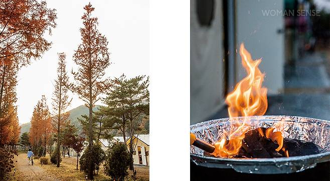 박사마을 어린이 글램핑장에서 자동차로 약 2분 거리에 애니메이션박물관과 토이로봇관이 자리한다. 캠핑 전후에 들러 흥을 돋워도 좋다.