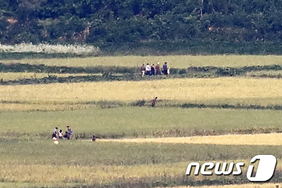 황해북도 개풍군 북한 들녘.2017.9.13/뉴스1 ⓒ News1 황기선 기자