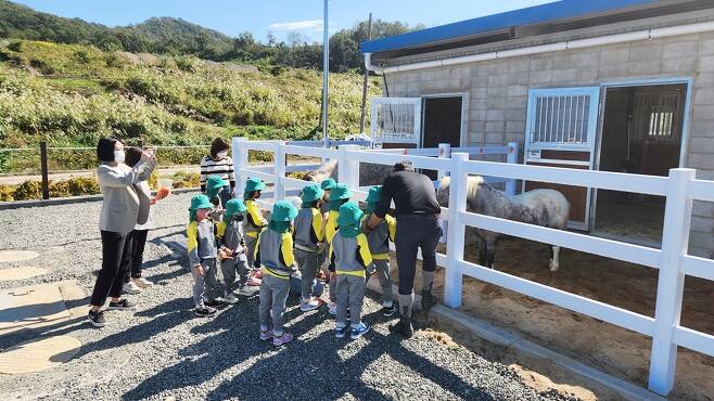 악양승마장을 찾은 유치원생들이 말 먹이주기 체험을 하고 있다(함안군 제공)