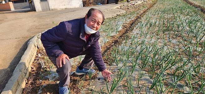 23일 전남 고흥군 금산면 어전리에서 양파를 재배하는 이영남씨가 가뭄으로 뿌리를 뻗지 못한 양파 모종을 가리키고 있다. 김용희 기자 kimyh@hani.co.kr