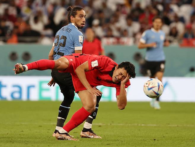 24일 오후(현지시간) 카타르 알라이얀의 에듀케이션 시티 스타디움에서 열린 2022 카타르 월드컵 조별리그 H조 1차전 대한민국과 우루과이 경기에서 조규성이 우루과이 카세레스와 공중볼을 다투고 있다. [연합]