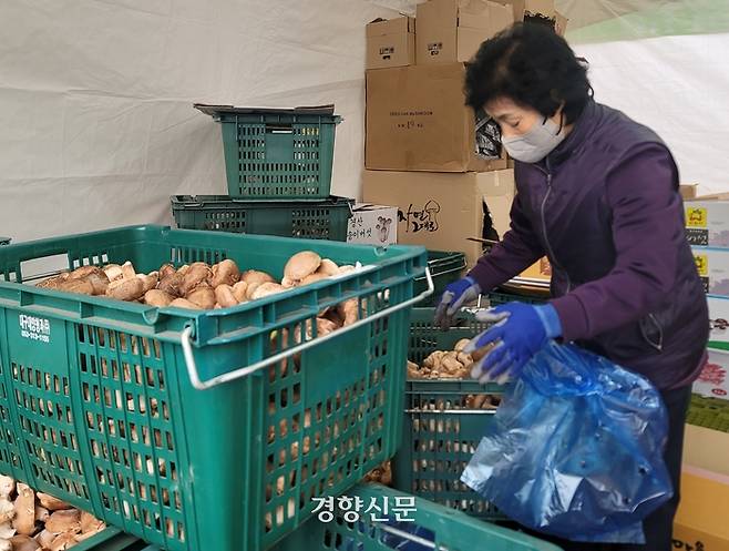 24일 오전 대구 북구 매천동 농수산물도매시장에서 30년째 버섯류를 유통해온 김기영씨(35)의 어머니가 버섯을 선별하고 있다.  김현수 기자