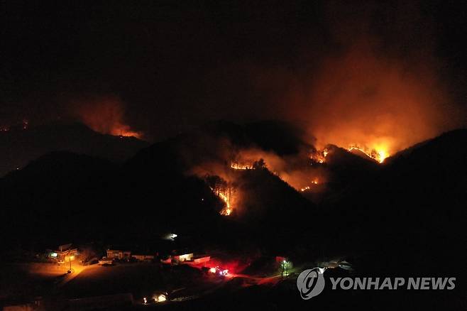 산불 [연합뉴스 자료사진]