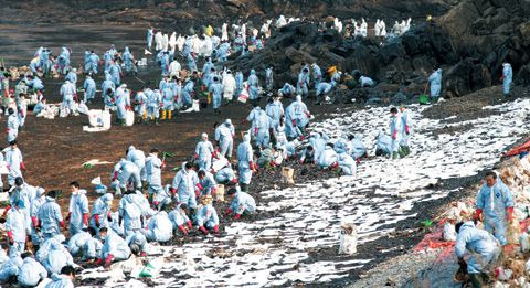 지난 2007년 충남 태안에서 발생한 유류 유출 사고 당시 모습. /조선DB