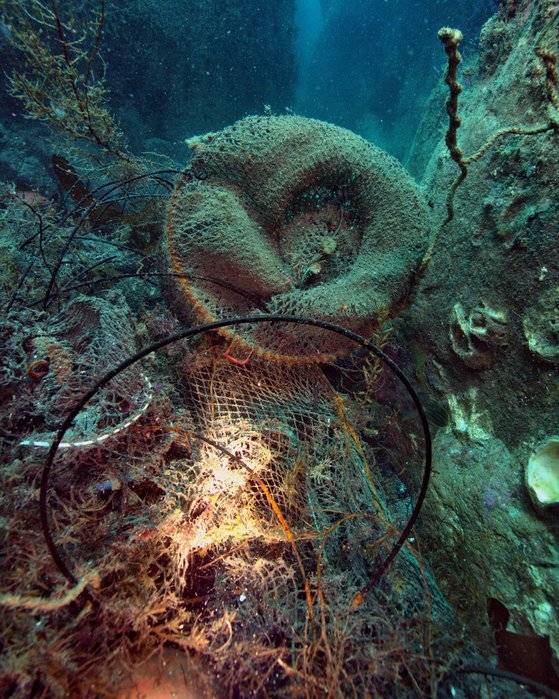 백도 바닷속에서 발견된 폐어구 등 해양 쓰레기들. 국립공원을지키는시민의모임