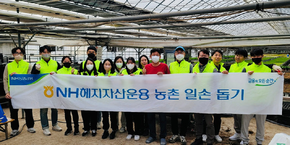 NH헤지자산운용이 28일 김포시 고촌읍 백배농장을 방문해 올해 두 번째 농촌일손돕기 봉사활동을 실시했다. [사진=NH헤지자산운용]