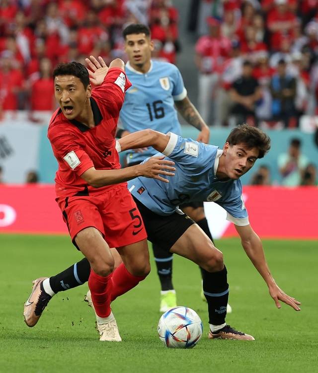 24일 오후(현지시간) 카타르 알라이얀의 에듀케이션 시티 스타디움에서 열린 2022 카타르 월드컵 조별리그 H조 1차전 대한민국과 우루과이 경기. 대표팀 정우영이 다르윈 누녜스와 볼경합을 벌이고 있다. 연합뉴스