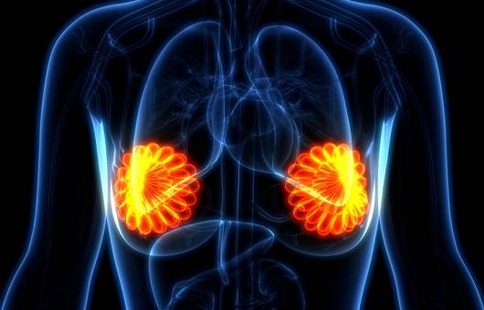 유선ㅣ출처: 게티이미지 뱅크