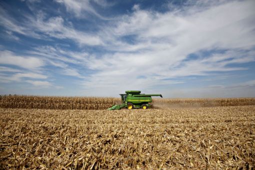 멕시코 정부가 미국산 유전자변형작물(GMO) 옥수수 수입 금지 방침을 두고 양국 분쟁이 격화되고 있다.