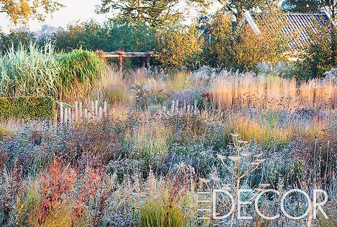 네덜란드 리아너(Lianne) 묘목상 소유의 정원.