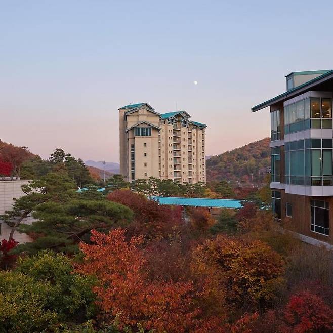 곤지암리조트