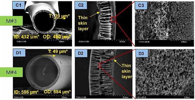 혈액투석용 중공사막의 단면 촬영 [광주과학기술원 제공. 재판매 및 DB 금지]