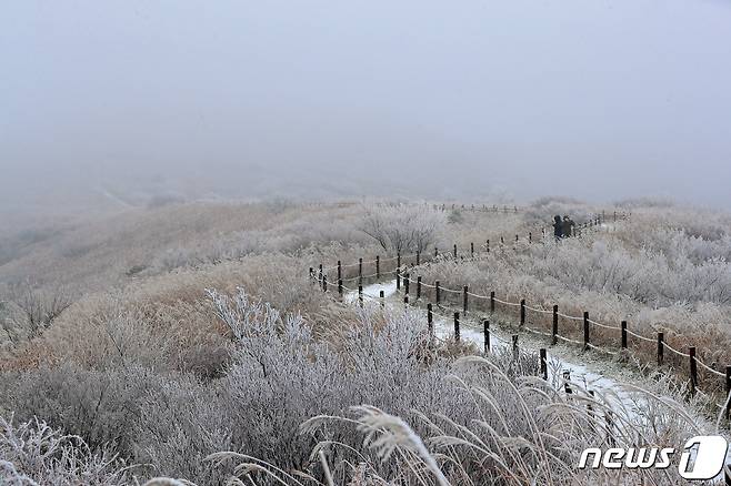 광주 무등산국립공원 정상 부근에 눈이 내려 멋진 설경을 연출하고 있다. /뉴스1 DB ⓒ News1