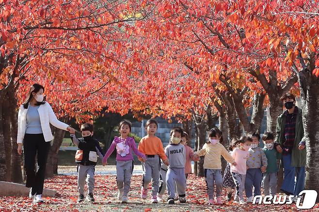 선생님과 함께 나들이 나온 유치원 어린이들이 단풍과 낙엽으로 물든 가로수길을 걷고 있다. /뉴스1 ⓒ News1 공정식 기자