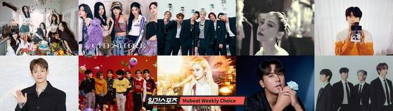 일간스포츠X뮤빗