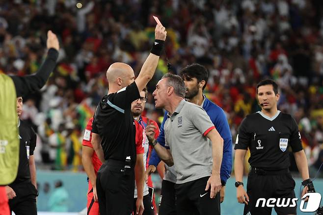 (알라이얀(카타르)=뉴스1) 이광호 기자 = 28일 오후(현지시간) 카타르 알라이얀 에듀케이션 시티 스타디움에서 열린 2022 카타르 월드컵 조별리그 H조 2차전 대한민국과 가나의 경기, 마지막 코너킥 상황에 종료 휘슬을 분 앤서니 테일러 주심에게 벤투 감독이 강력히 항의하자 레드카트를 꺼내고 있다. 2022.11.28/뉴스1  Copyright (C) 뉴스1. All rights reserved. 무단 전재 및 재배포 금지.