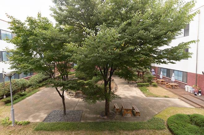 옛 경기도청사는 1960년대 모더니즘 디자인을 갖추고 있다. 2017년에는 국가등록문화재로 지정됐다. 경기도 제공