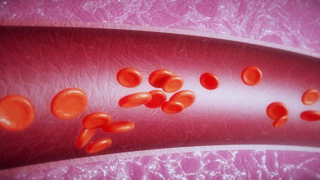 [사진=게티이미지뱅크]