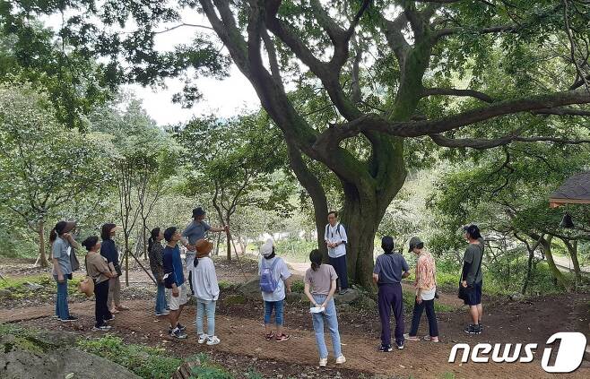 향적산 치유의 숲 ‘팽나무와의 교감’ 프로그램 모습. (계룡시 제공) /뉴스1