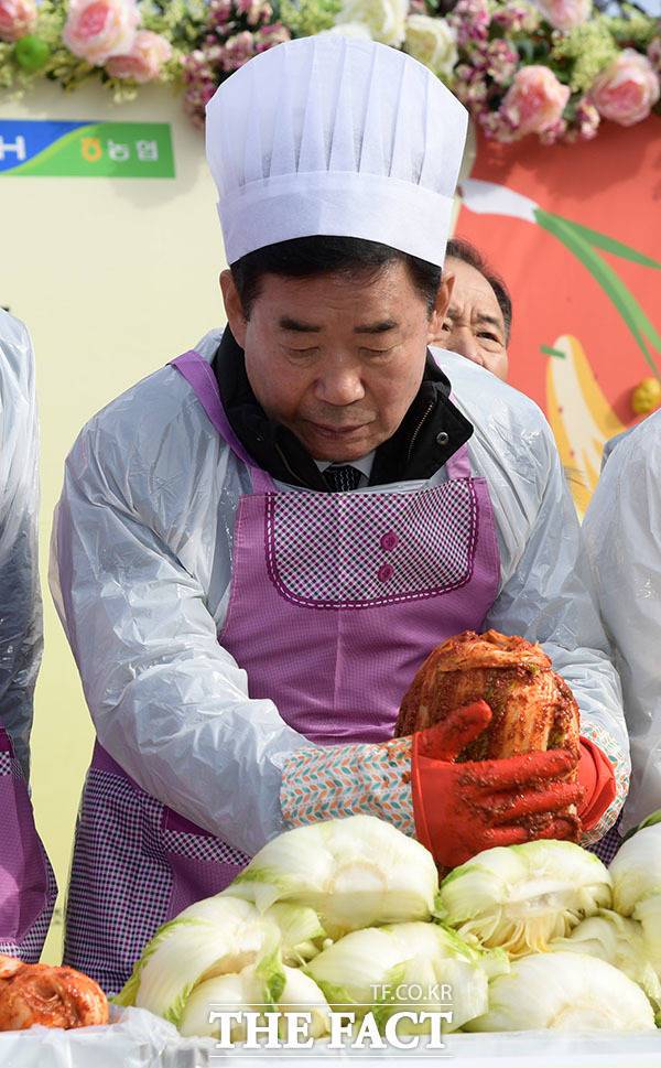 배추를 감싸는 부드러운 손놀림.