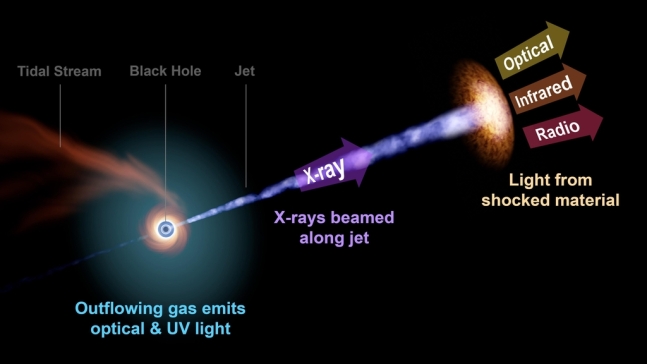 상대론적 제트를 분출하는 블랙홀 TDE의 빛 파장 그래픽 / 사진=ZTF/R.Hurt (Caltech/IPAC) 제공