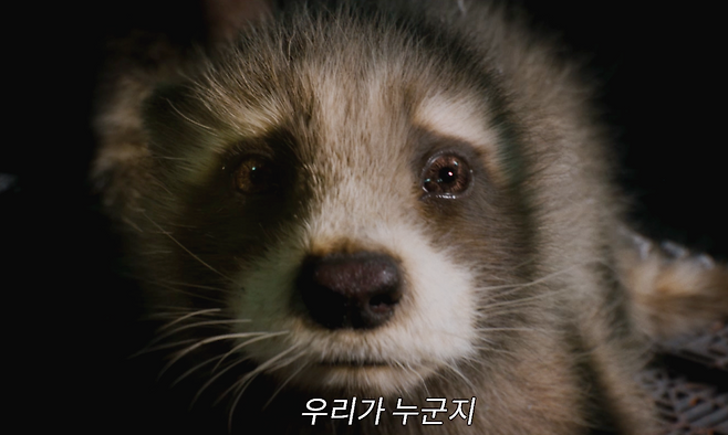 ‘가디언즈 오브 갤럭시: Volume 3’ 티저 예고편 스틸컷. 월트디즈니컴퍼니코리아 제공.