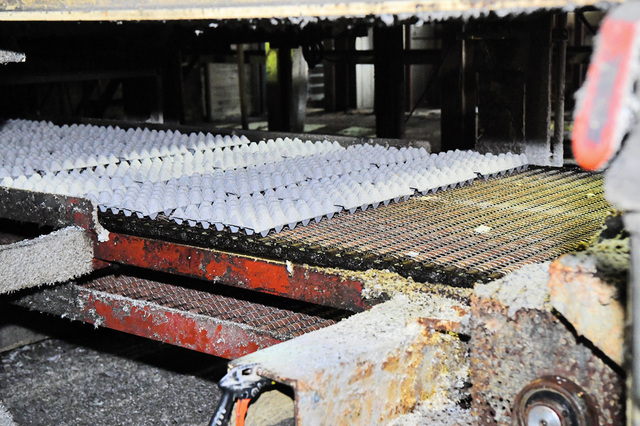 풍년그린텍에서 펄프몰드(pulp mold) 방식으로 제작되는 계란판 공정 모습. 안산=신석현 포토그래퍼