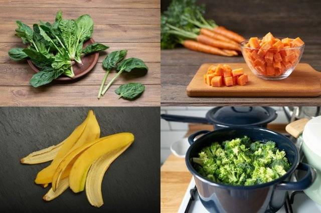 ⓒ게티이미지뱅크