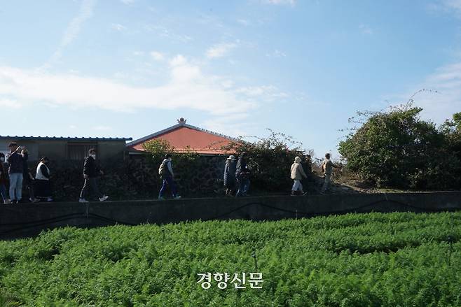 돼지의재발견 이미지