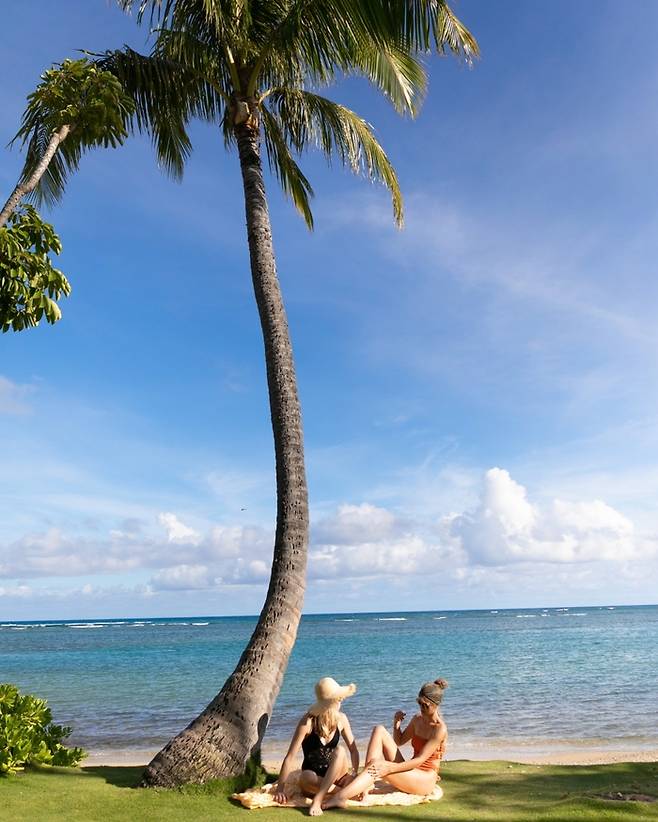 알라모아나 비치 파크.  /사진= 프린스 와이키키