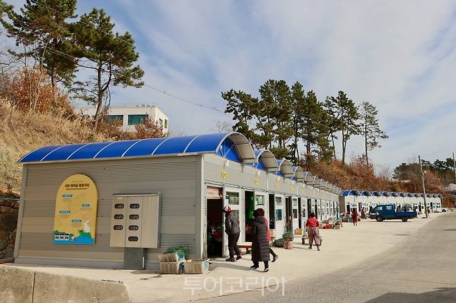 사천 굴 특화거리