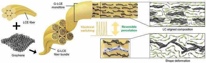 인공 섬유는 꿈의 신소재로 불리는 '그래핀'과 '엘라스토머'(Elastomer)를 합쳐 만들었다. / 사진=카이스트(KAIST·한국과학기술원)