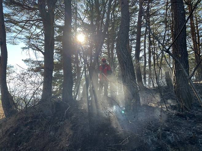 [강릉=뉴시스] 김경목 기자 = 5일 오후 산불진화대가 강릉시 주문진읍 야산에서 발생한 산불을 진화하고 있다. (사진=강원도 산불방지대책본부 제공) 2022.12.05. photo@newsis.com *재판매 및 DB 금지