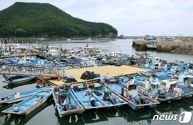 전북 부안군 가력항에 정박중인 어선들(뉴스1/DB)ⓒ News1