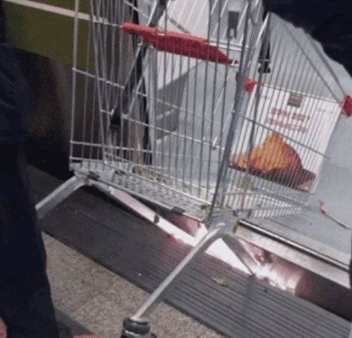 지하철과 승강장 사이에 낀 쇼핑카트 앞바퀴에서 스파크가 튀고 있다. 사진 인스타그램 캡처