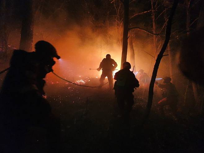 지난 3월 경북 울진 산불 발생 당시 야간 진화 장면. 산림청 제공