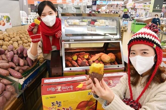 8일 서울 서초구 농협하나로마트 양재점에서 모델들이 겨울 간식 고구마와 감자를 선보이고 있다(사진=농협유통 제공).