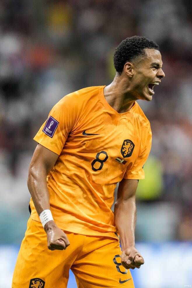 네덜란드의 코디 학포가 지난달 30일 개최국 카타르와의 조별리그 A조 3차 최종전에서 3경기 연속 득점의 기록을 쓴 뒤 포효하는 모습. 알코르=AP 뉴시스
