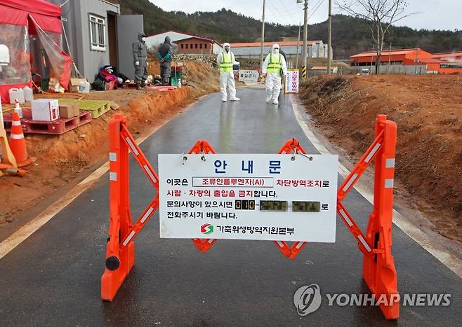 전남 한 농장에서 조류인플루엔자 항원 검출 (함평=연합뉴스) 조남수 기자 = 5일 전남 함평군 함평읍 한 가금농장에서 H5형 AI(조류인플루엔자) 항원이 검출돼 방역 당국 관계자가 출입통제하고 있다. 2022.12.5 iso64@yna.co.kr