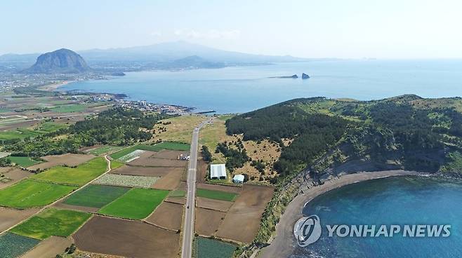 개발 논란 제주 송악산 [연합뉴스 자료 사진]