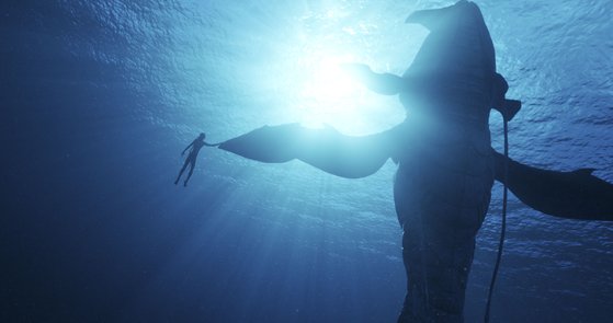 14일 개봉하는 영화 '아바타: 물의 길'은 제이크 설리와 네이티리 가족이 새로운 위협을 피해 바다로 향하는 모험을 그렸다. 사진 월트디즈니컴퍼니 코리아