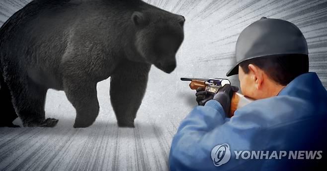 곰 사살·탈출동물 사살 (PG). [연합]